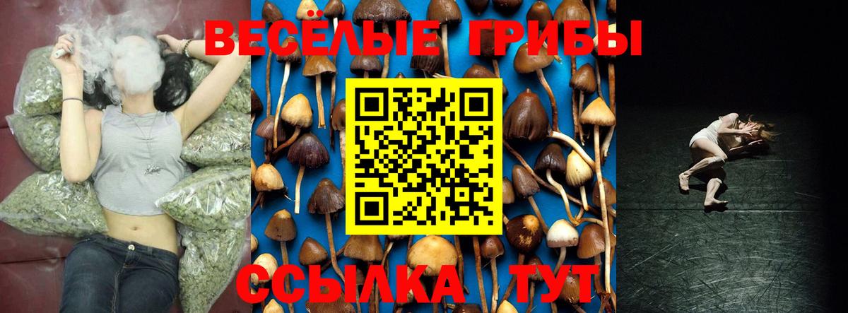 Междуреченск  Псилоцибиновые грибы прущие грибы  где найти   Вход с VPN  Галлюциногенные грибы ЛСД 