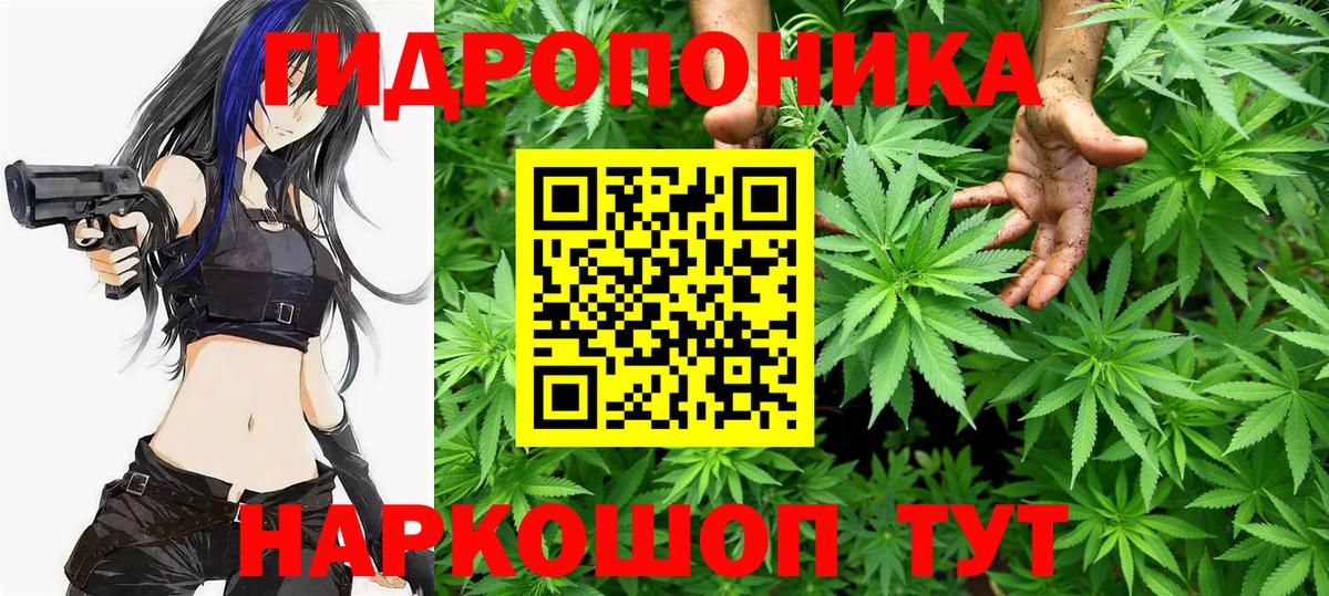 Бошки Шишки AK-47  Каннабис OG Kush  Вход с VPN  Междуреченск 